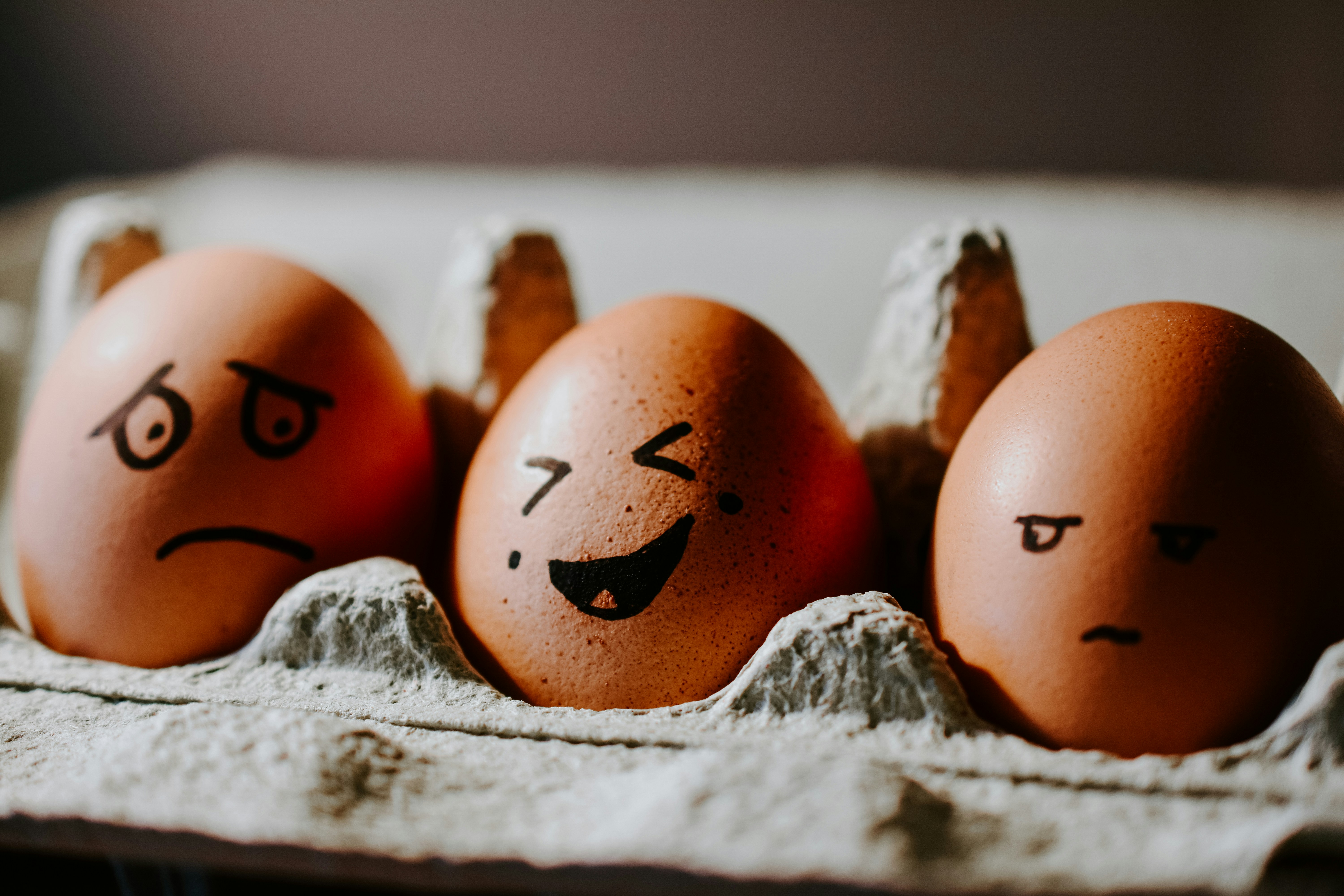 eggs